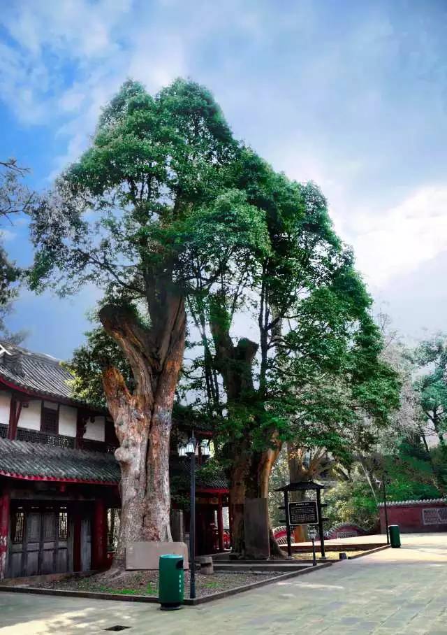 三郎镇有哪些景点图片