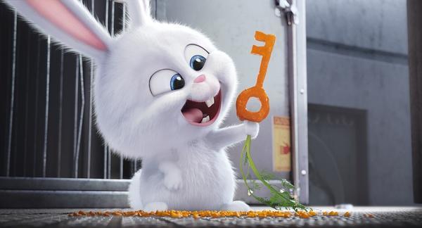 疯狂动物城白色坏兔子图片