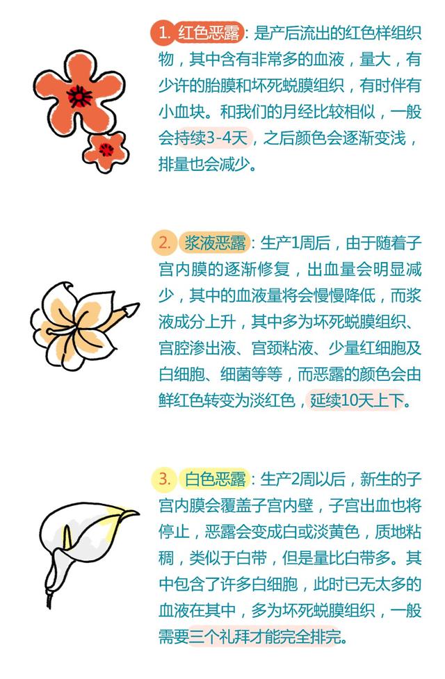 恶露血块和胎膜的区别图片