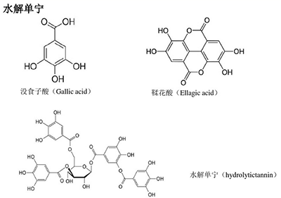 植物多酚簡介-搜狐