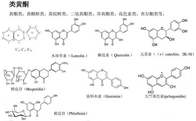 简单酚酸结构图植物多酚分类可以分为:简单酚酸,类黄酮,水解单宁,原