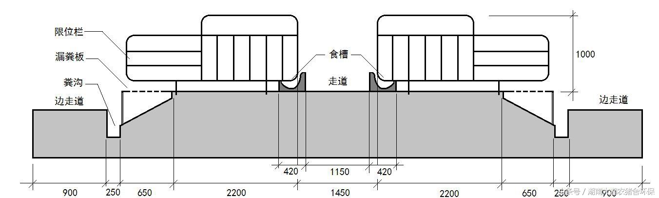 母猪产房排粪沟设计图图片