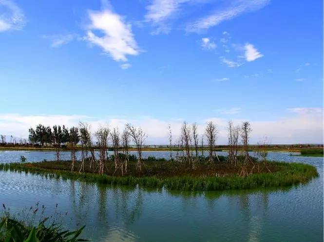 海東溼地公園昆明海東溼地公園坐落於昆明環湖東路以南滇池以北,是環