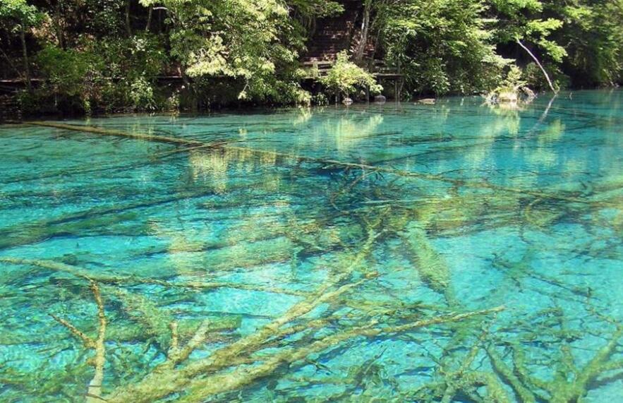 四川九寨沟震前震后五花海景点对比照!