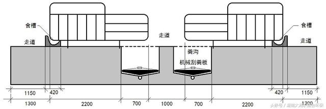 [经验]猪舍清粪方式设计