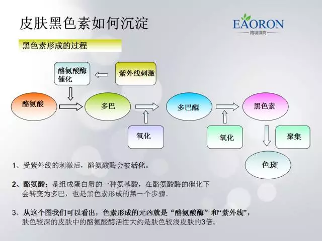 从上图我们可以知道,肌肤变黑的原因主要是两个,内因是皮肤新陈代谢