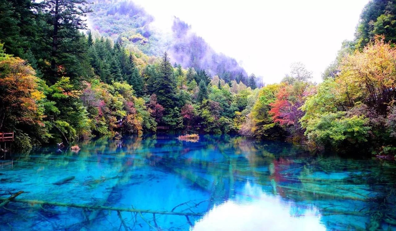 實拍震後九寨溝:美麗的五花海沒有了