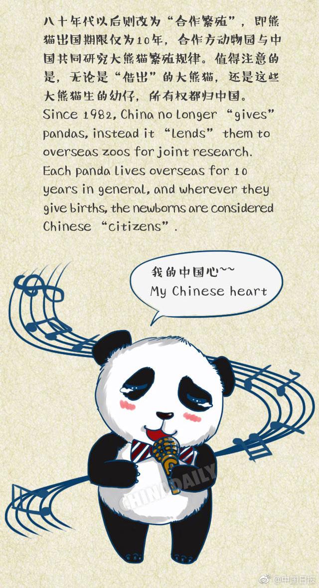 熊猫英语单词怎么写图片