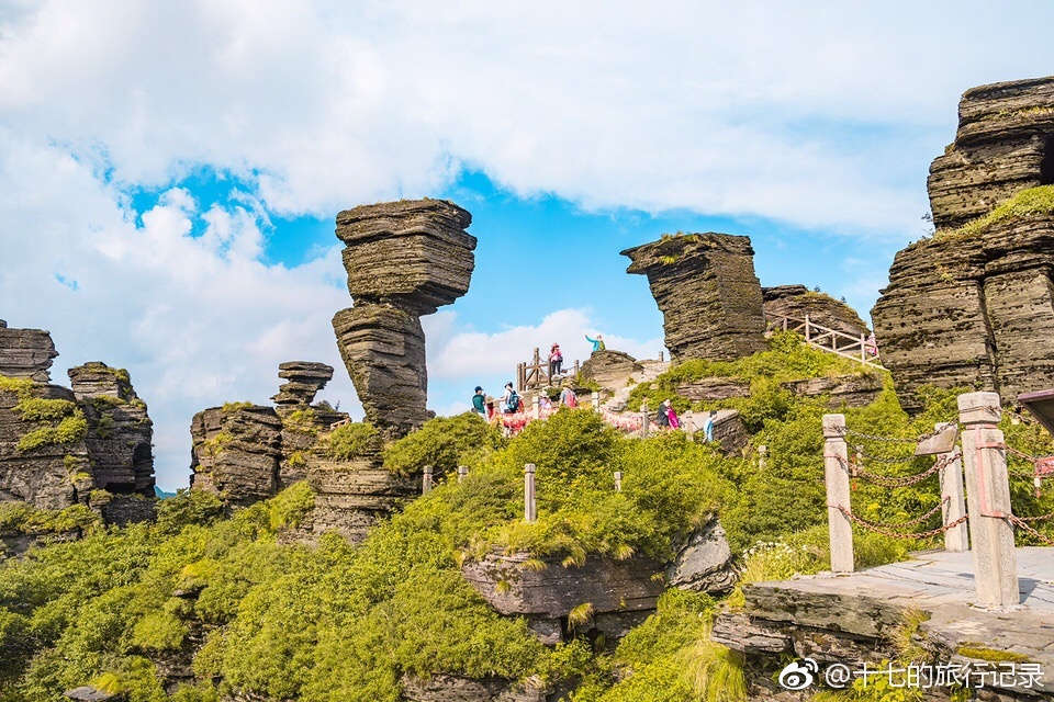 梵天淨土,還梵淨山一張門票