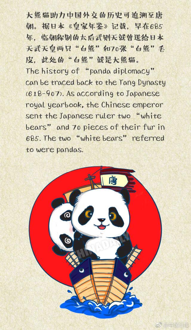 关于熊猫的英语海报图片