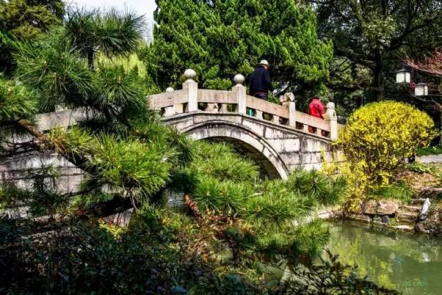 上海醉白池公園