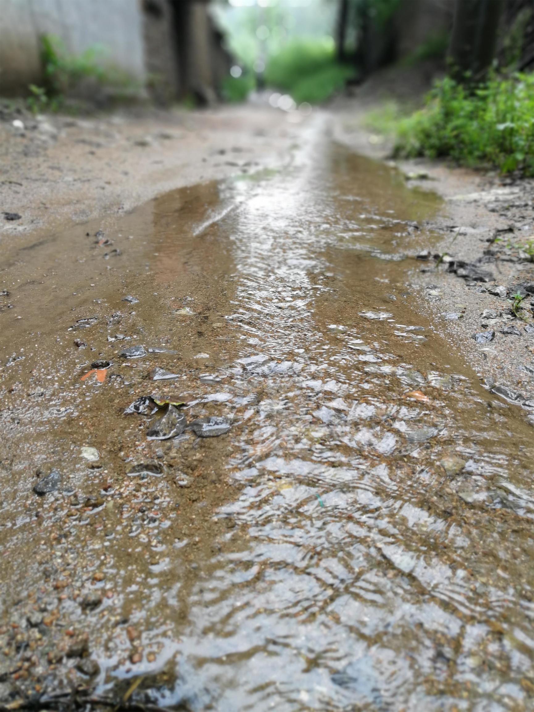 沂源山多,水多,水果多,一下雨到处都是水!