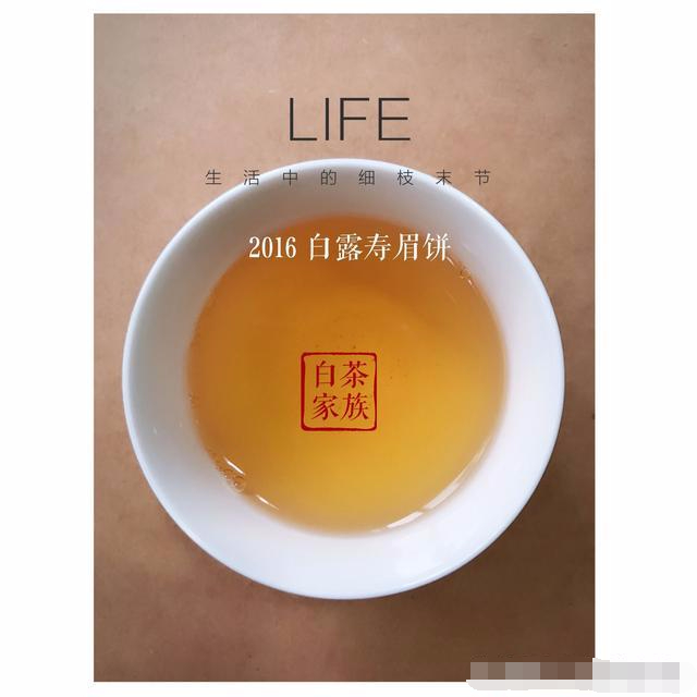 还用80℃的水温冲泡老白茶?你可能被骗了很多年!