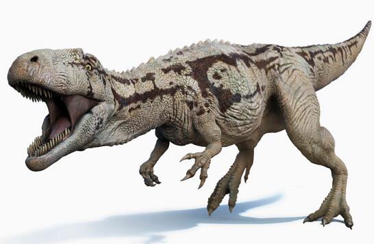 史前最大的食肉恐龙鲨齿龙vs霸王龙