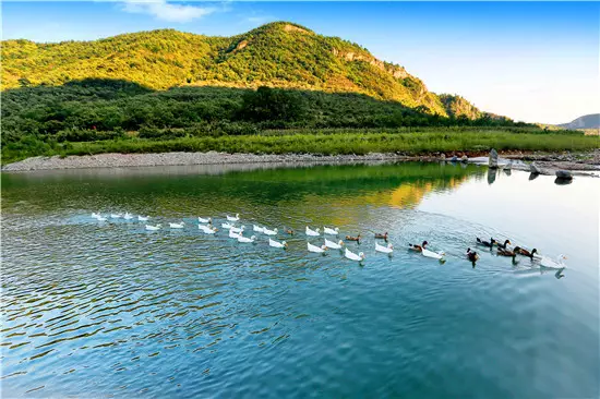 省秦皇島市西北28公里的山區地帶,大石河上源,柳江國家地質公園西北部