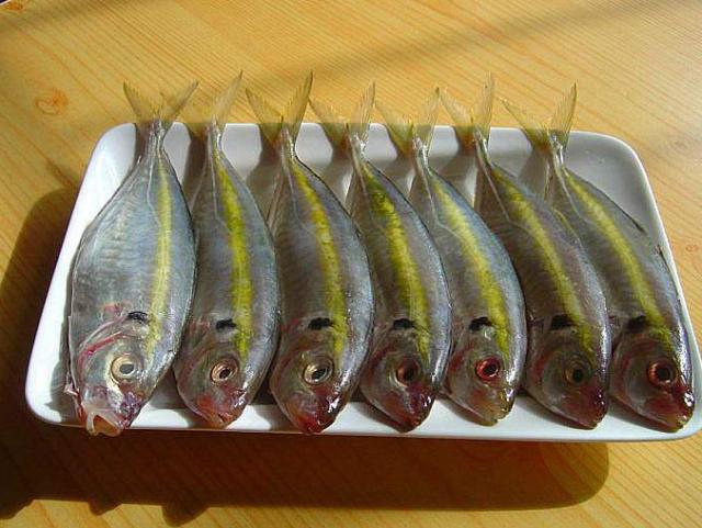 二鯋=紅鯋午仔魚肉嫩鮮美,營養價值高,珍貴好吃的是野生午仔魚,不過很