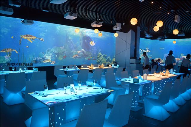 如今,这家餐厅又推出了全新的海底世界主题