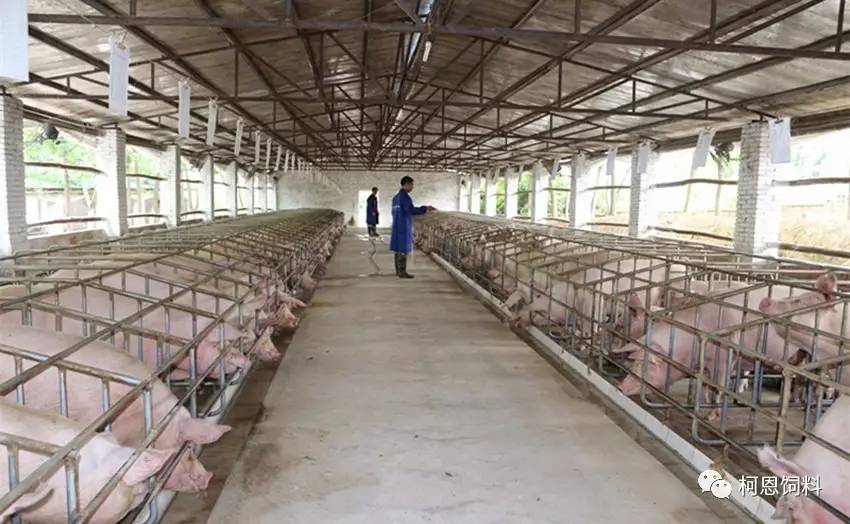 计划投资近亿元的旗下宝丰猪场商品猪标准化规模养殖场新建项目获批