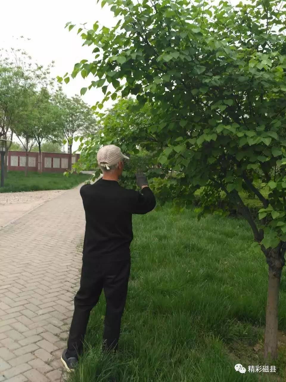 折斷花枝,不僅傷害了花草樹木,也破壞了自然美景.