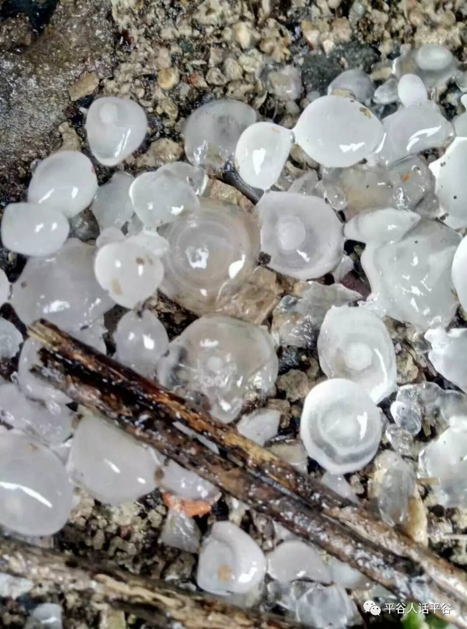 今天的北京有雙彩虹冰雹還有暴雨冰雹等四預警齊發