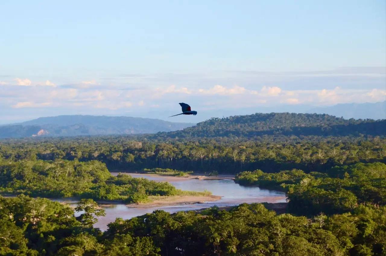 而占地 18,000平方公里的马迪迪国家公园(madidi national park)将该