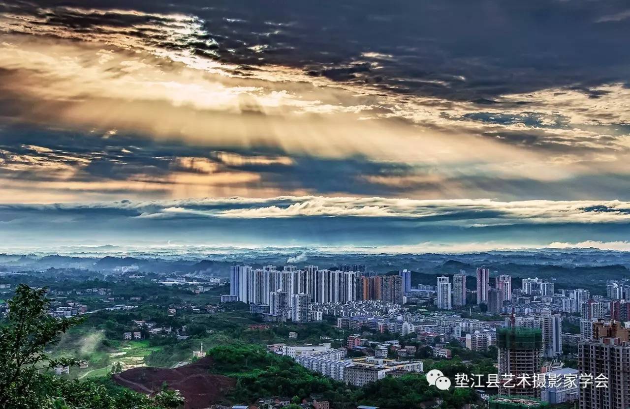 垫江牡丹城13岁图片