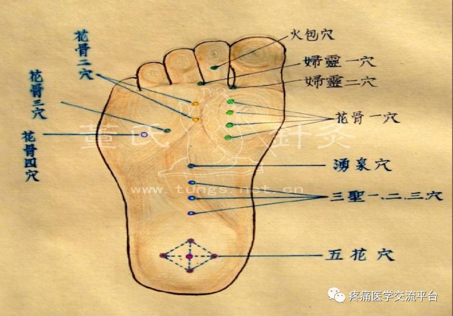 董氏奇穴常见穴位