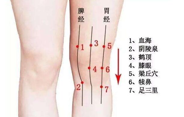 膝关节疼痛自诊部位图图片