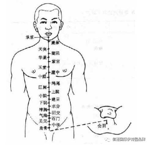 經絡經絡按摩(通則不痛,超級實用!