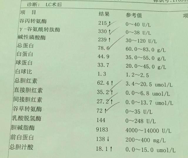 肝硬度参考对照图CAP图片