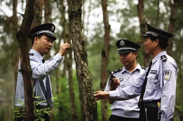 森林警察服装图片图片