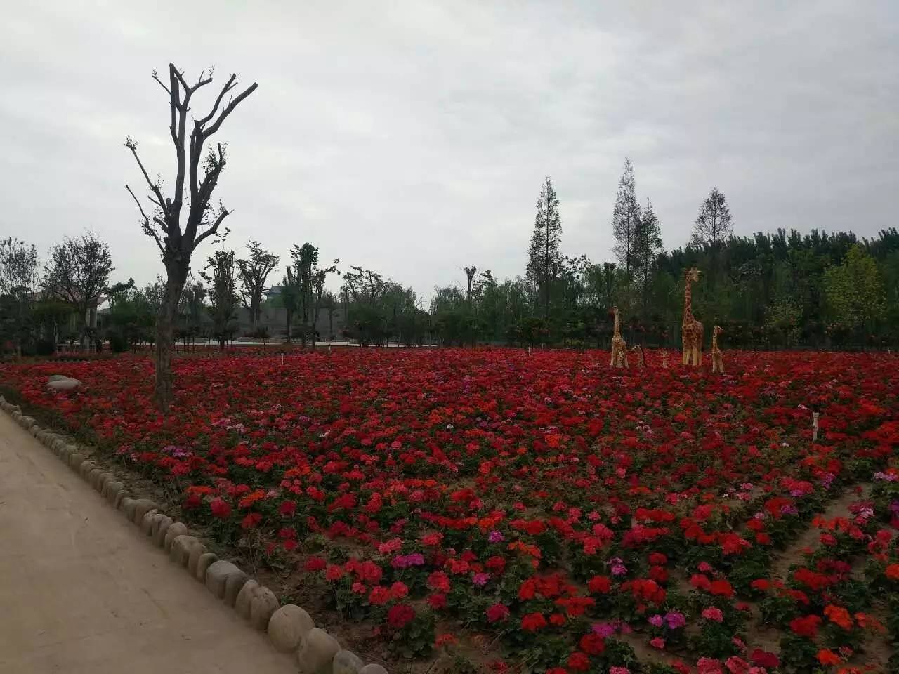 新增活動景點魏縣熱帶植物動物園