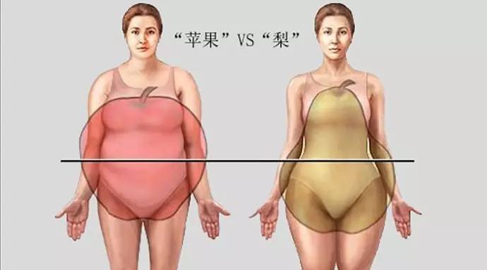 肥胖的类型肥胖不只有一种,有的肥胖甚至存在疾病隐患!