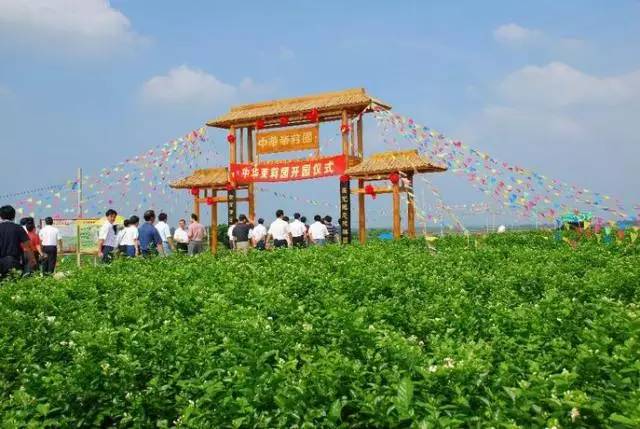 茉莉花开香约横县开启闻香之旅横县宝华山西津湖中华茉莉园一日游$88