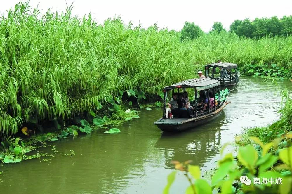 搶鮮品嚐陽澄湖大閘蟹深入沙家浜醉人蘆葦蕩