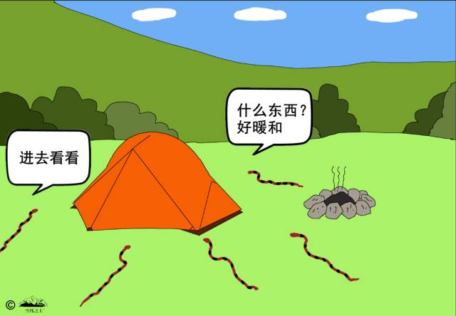 漲知識夏秋戶外咋防蛇