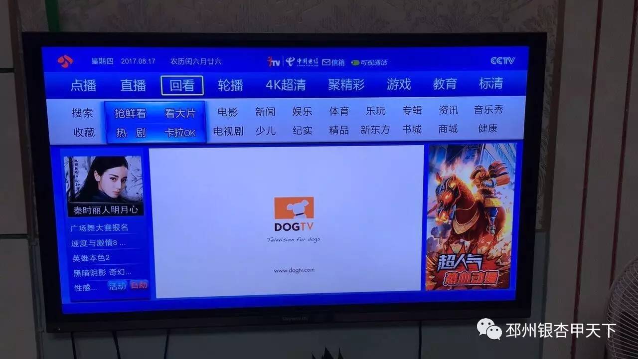 號外!邳州臺強勢入駐iptv,電信用戶終於能看上家鄉臺了!