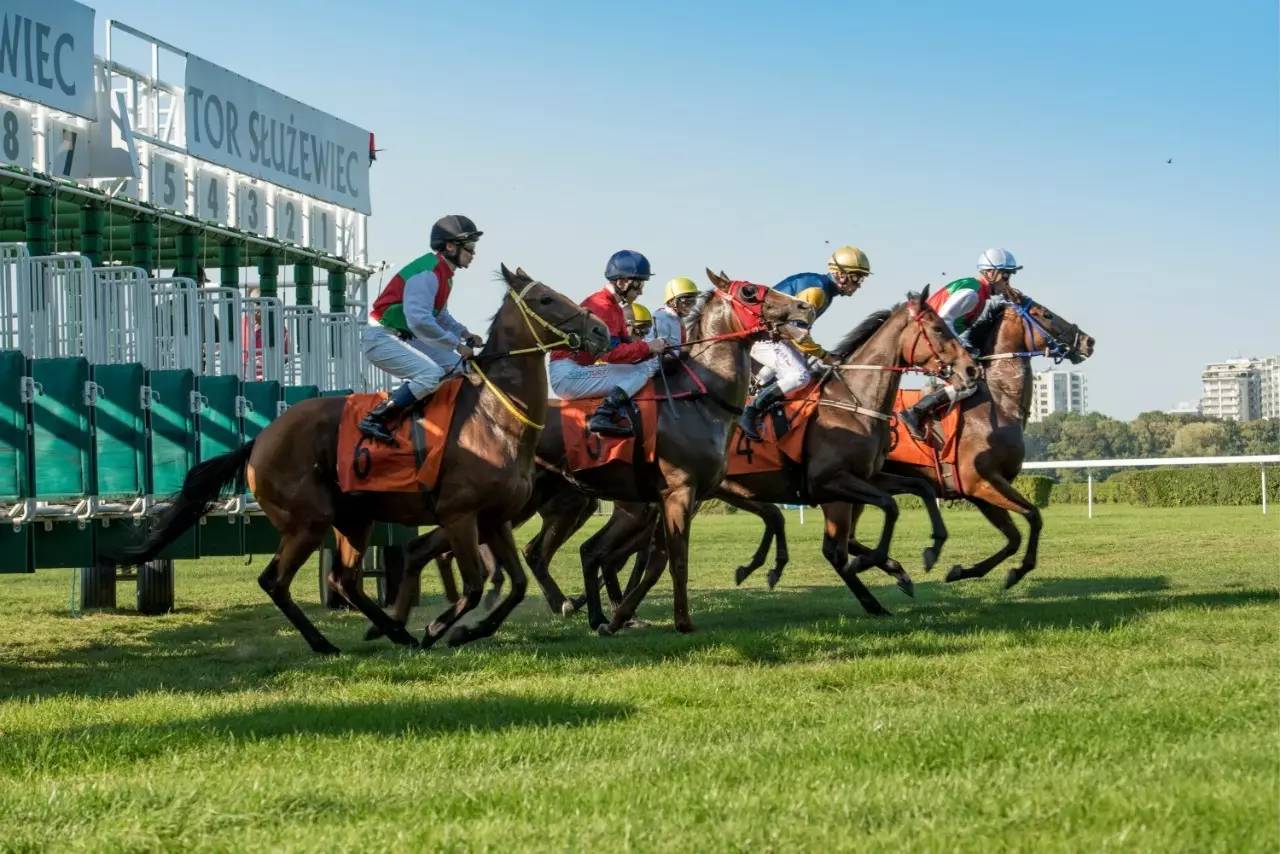 北京時間今晚9點絲綢之路大賽馬·中國馬會田忌馬業