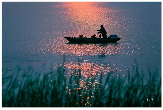 芦苇青纱帐,湿地凫鹤投.夕阳铺水底,渔翁掉归舟.