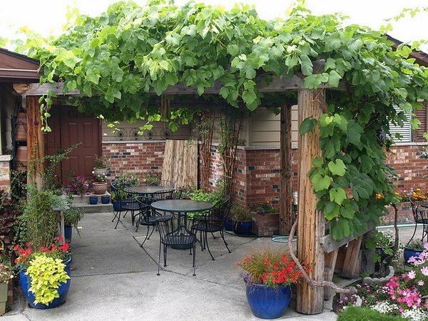 迷人的庭院,怎能少了完美的葡萄架露台?