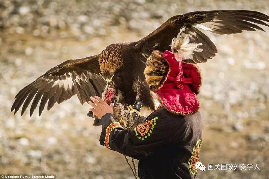 中亞研究哈依沙爾卡德爾汗獵鷹與鷹獵哈薩克族遊牧民關於鷹的本土知識