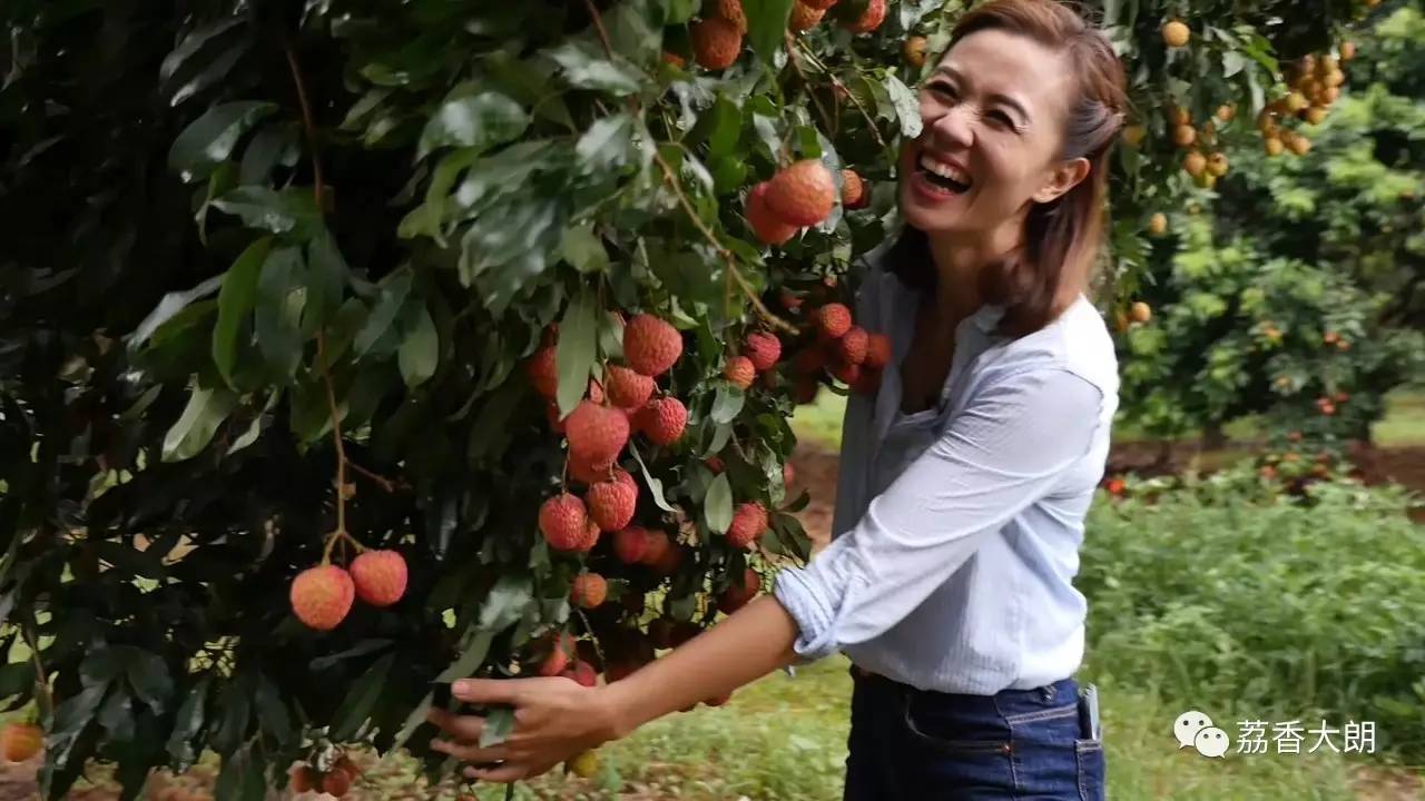 《从东莞出发》开启一段大朗美妙的旅程!