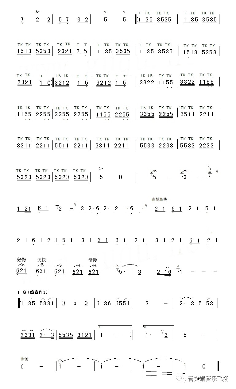 葫蘆絲教學金色的孔雀於天佑老師講解