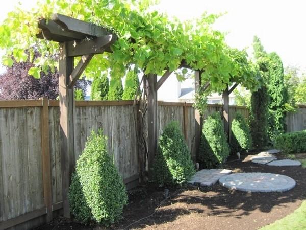 迷人的庭院,怎能少了完美的葡萄架露台?