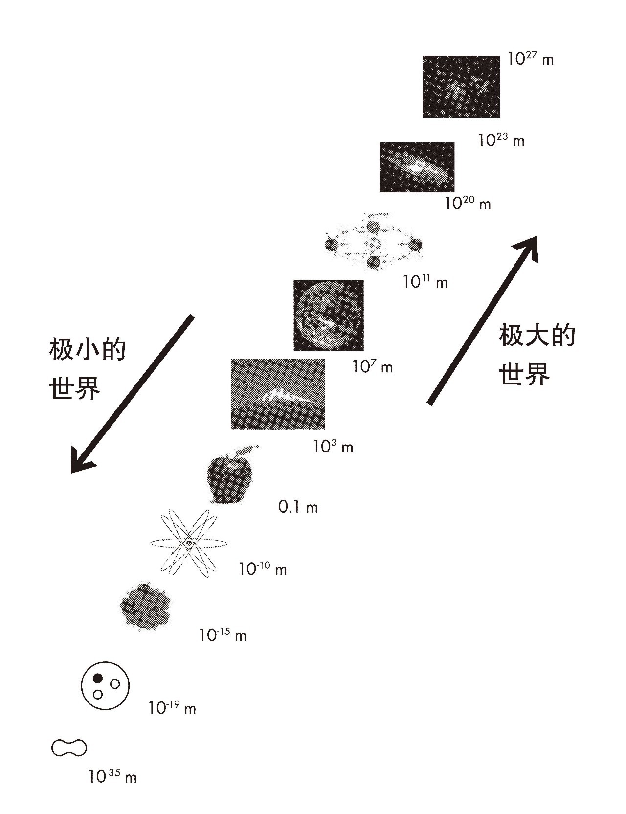 粒子结构示意图20个图片