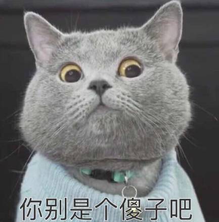 冷笑猫图片