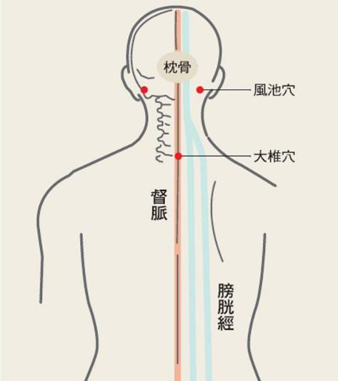 鼻炎的經絡調治法與養生治療偏方