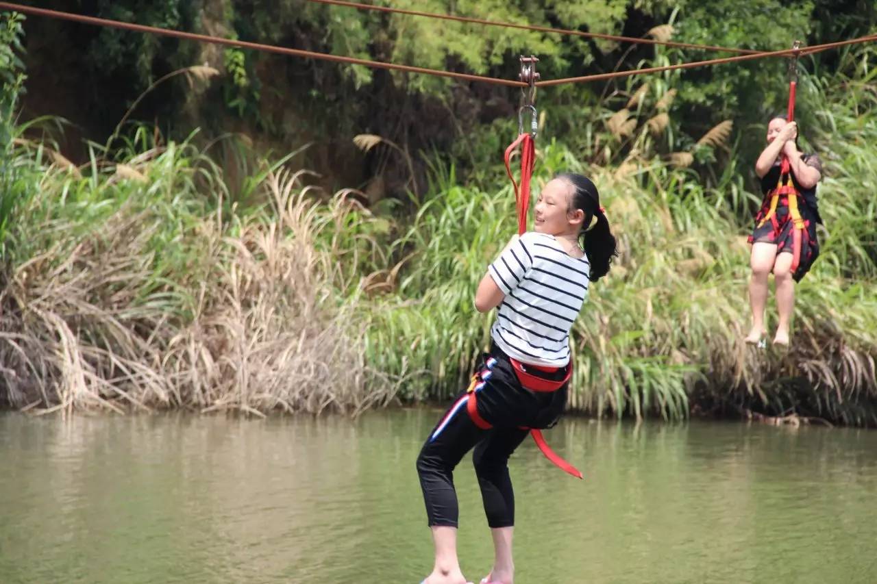 "小候鸟"快乐飞进义乌天龙风景区