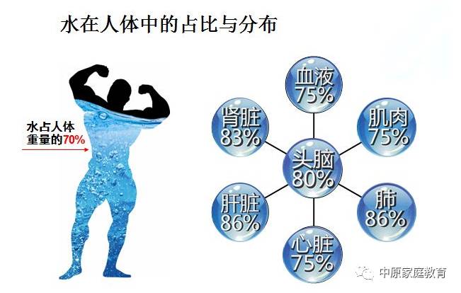 人体75都是水喝够水的人生到底有多赚