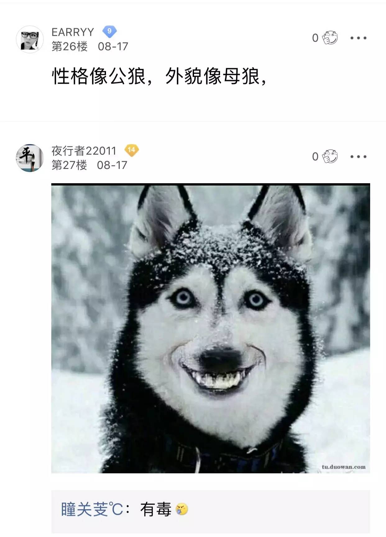 哈士奇混入狼群当狼王还娶了母狼生了娃